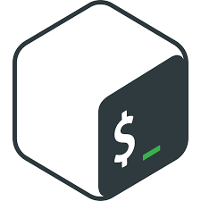 Bash Scripting